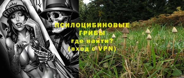 мяу мяу мука Абдулино
