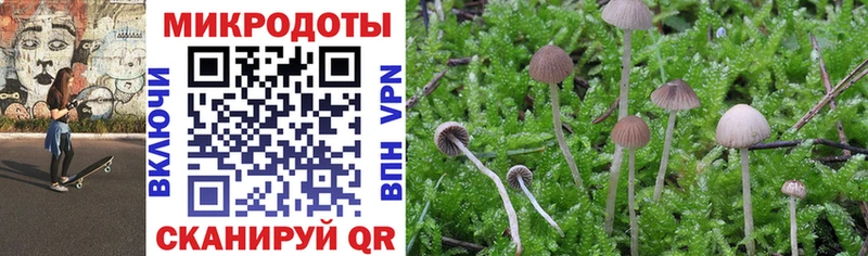 Галлюциногенные грибы мухоморы  где можно купить   Нюрба 